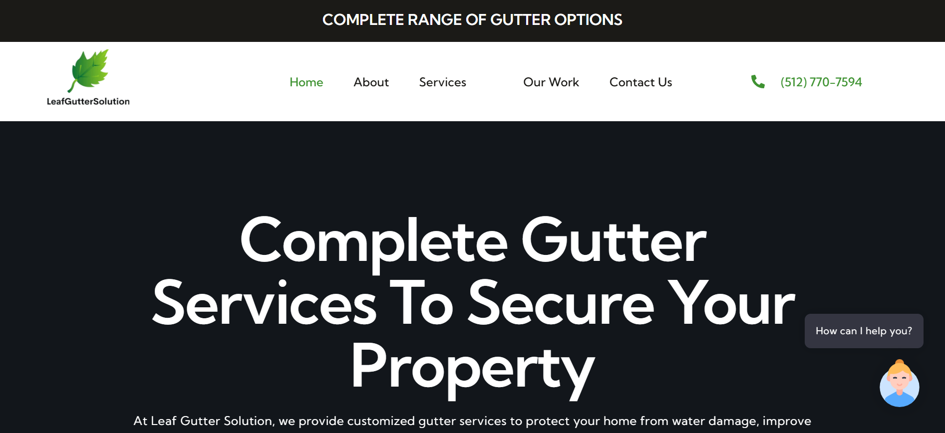 Leaf Gutter Solution website screenshot